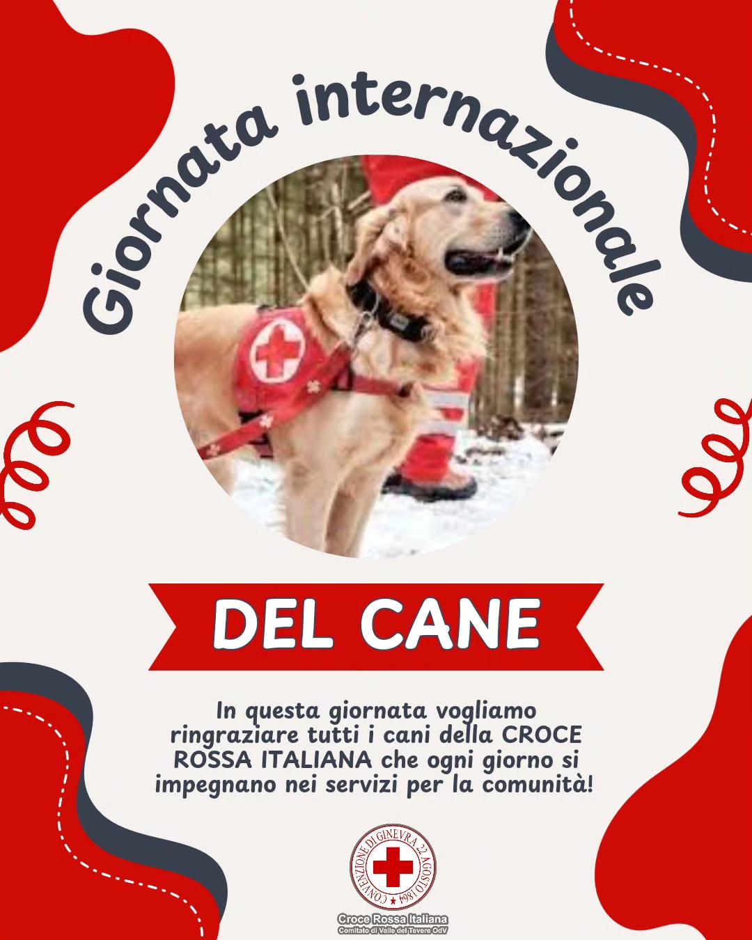 Giornata Mondiale del Cane